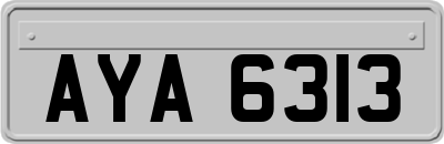 AYA6313