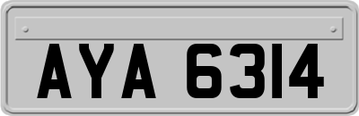 AYA6314