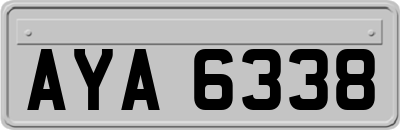 AYA6338