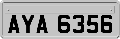 AYA6356