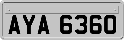 AYA6360