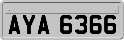 AYA6366