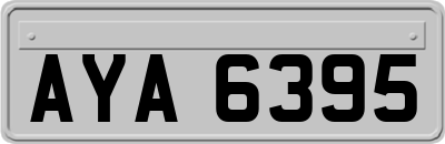 AYA6395