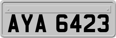 AYA6423