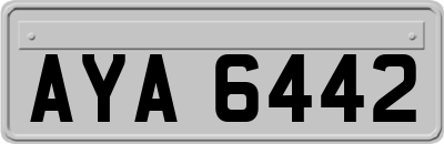 AYA6442