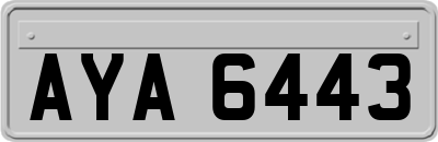 AYA6443