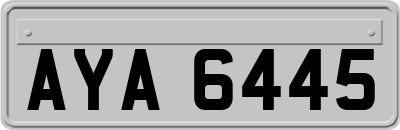 AYA6445