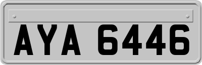 AYA6446