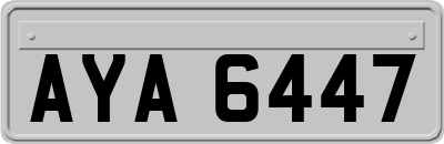 AYA6447