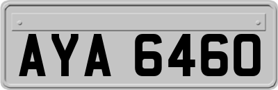 AYA6460