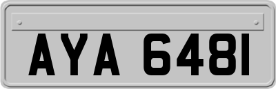 AYA6481