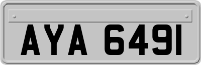 AYA6491