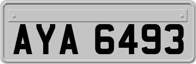 AYA6493
