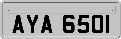 AYA6501