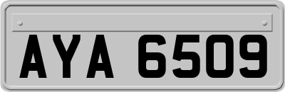 AYA6509