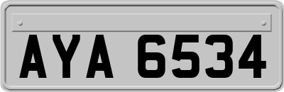 AYA6534