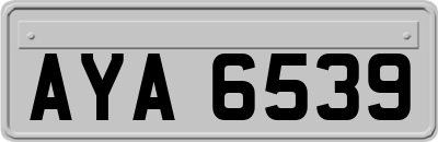 AYA6539
