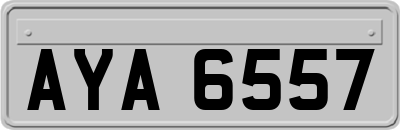 AYA6557