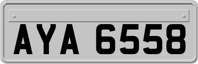 AYA6558