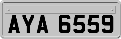 AYA6559