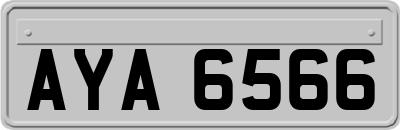 AYA6566