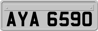 AYA6590