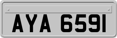 AYA6591