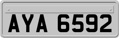 AYA6592