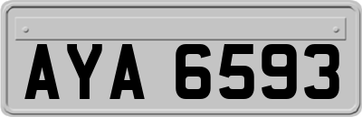 AYA6593