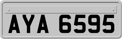 AYA6595
