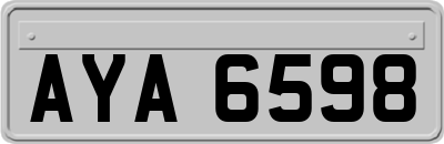 AYA6598
