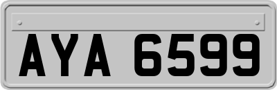 AYA6599