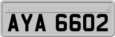 AYA6602