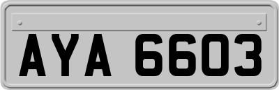 AYA6603
