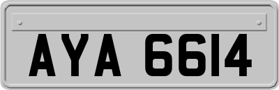 AYA6614