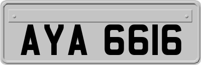 AYA6616