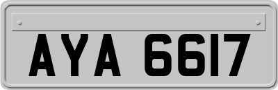 AYA6617