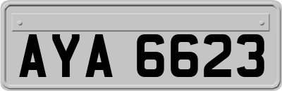 AYA6623