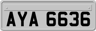 AYA6636
