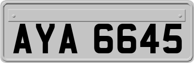 AYA6645
