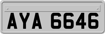 AYA6646