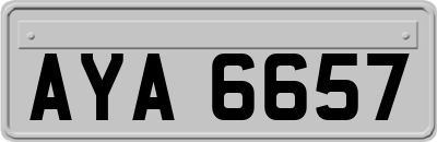 AYA6657