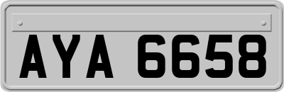 AYA6658