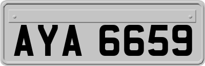 AYA6659