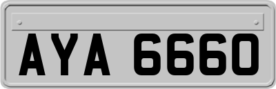 AYA6660
