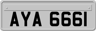 AYA6661