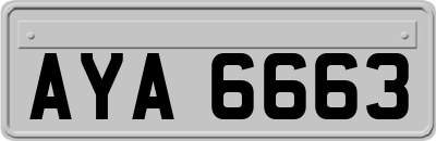 AYA6663
