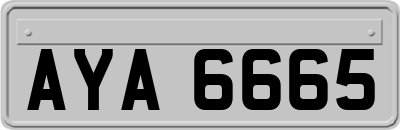 AYA6665