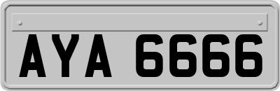 AYA6666
