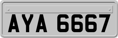 AYA6667